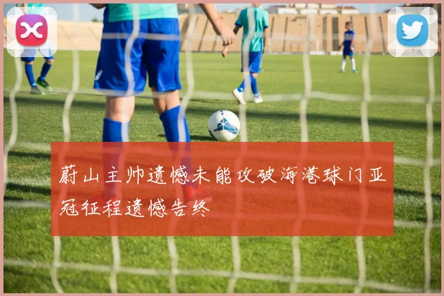 蔚山主帅遗憾未能攻破海港球门亚冠征程遗憾告终