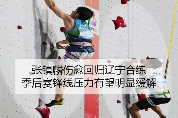 张镇麟伤愈回归辽宁合练 季后赛锋线压力有望明显缓解