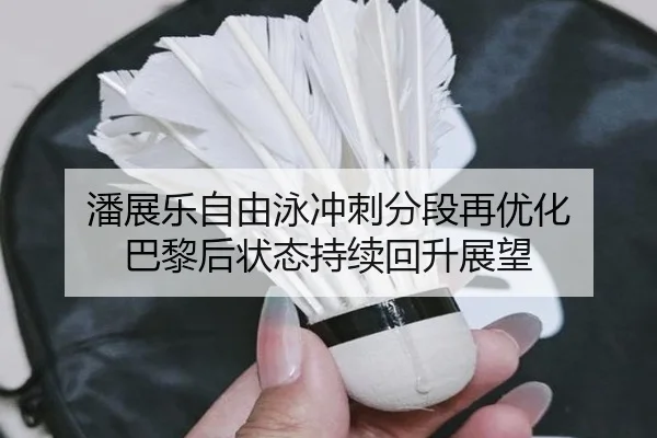 潘展乐自由泳冲刺分段再优化 巴黎后状态持续回升展望